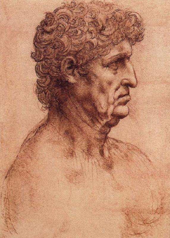 LEONARDO da Vinci Profile of an old man